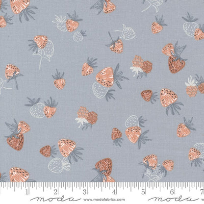 Moda Fabric Moda Chirp  - The Sewing Studio