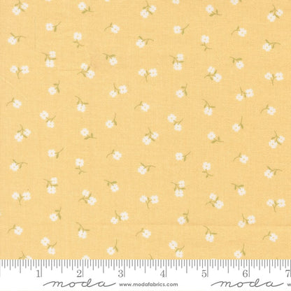 Moda Fabric Moda Pastel Prairie  - The Sewing Studio