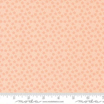 Moda Fabric Moda Pastel Prairie  - The Sewing Studio