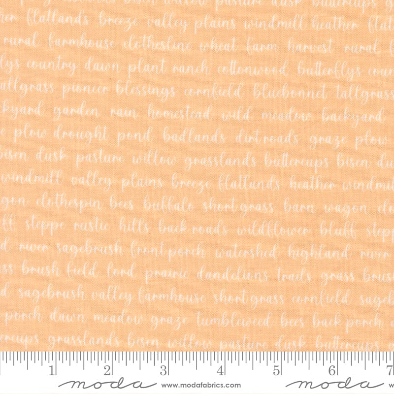 Moda Fabric Moda Pastel Prairie  - The Sewing Studio