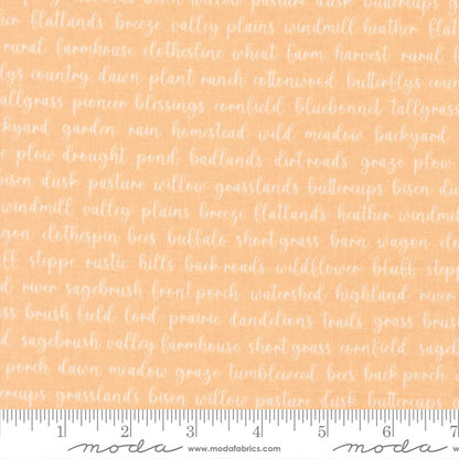 Moda Fabric Moda Pastel Prairie  - The Sewing Studio