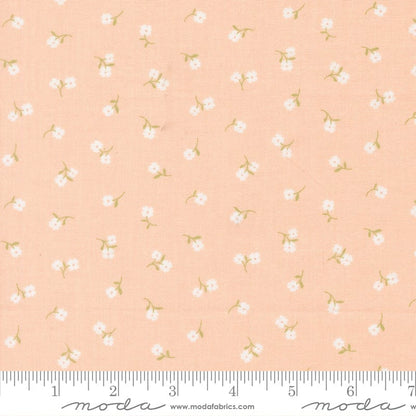 Moda Fabric Moda Pastel Prairie  - The Sewing Studio