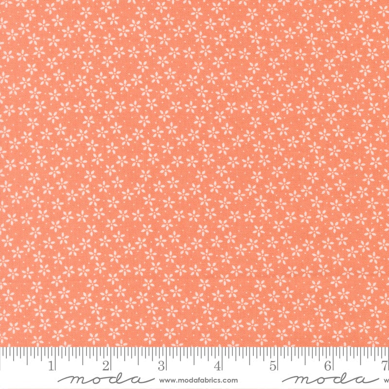 Moda Fabric Moda Pastel Prairie  - The Sewing Studio