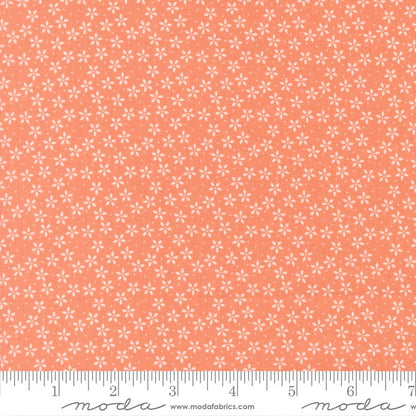 Moda Fabric Moda Pastel Prairie  - The Sewing Studio