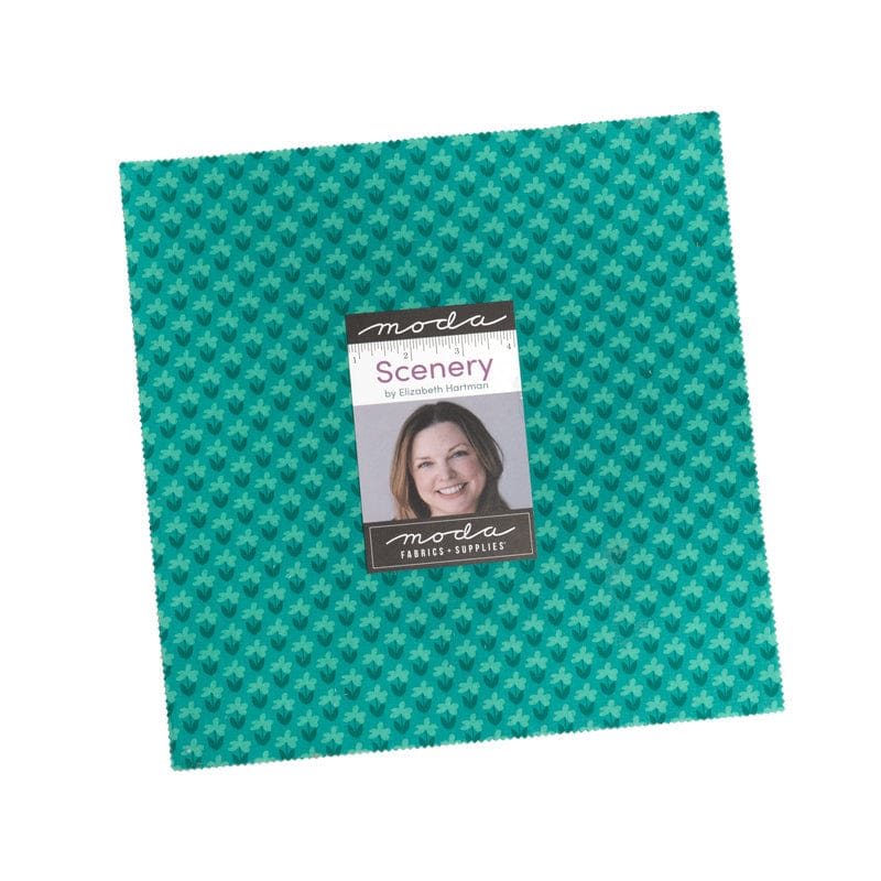 Moda Fabric Pre Cuts Moda Scenery Layer Cakes  - The Sewing Studio