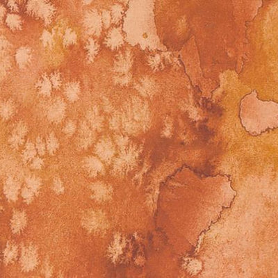 Red Ochre 8433 78