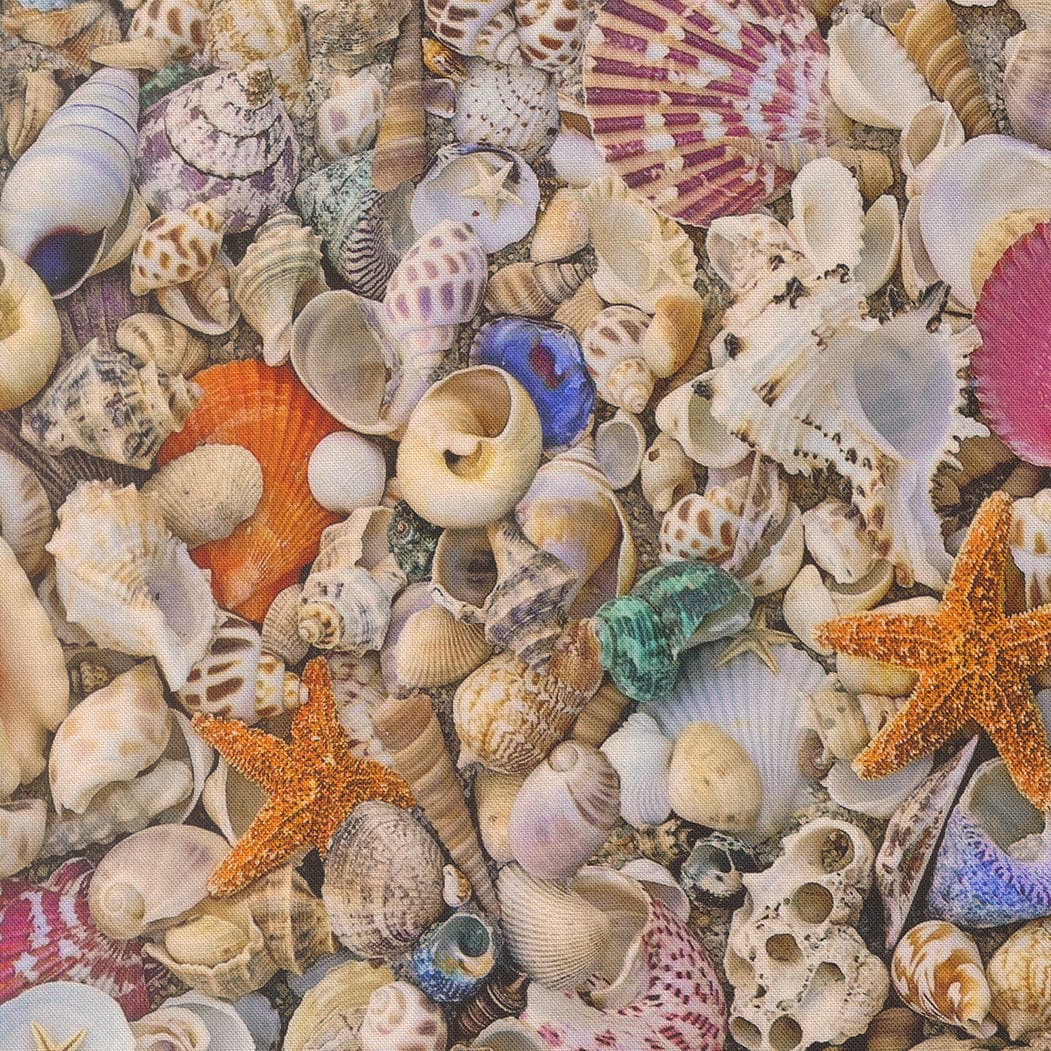 Moda Fabric Moda Saltwater  - The Sewing Studio