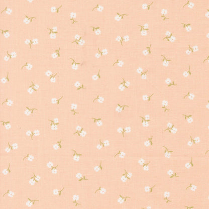 Moda Fabric Moda Pastel Prairie  - The Sewing Studio