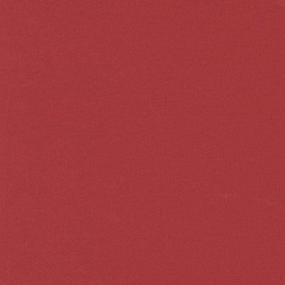 Tomato Soup 9900 42