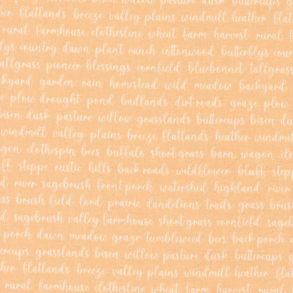 Moda Fabric Moda Pastel Prairie  - The Sewing Studio