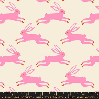 Ruby Star Backyard Bunny Run Flamingo RS2087-11 Ruler Image