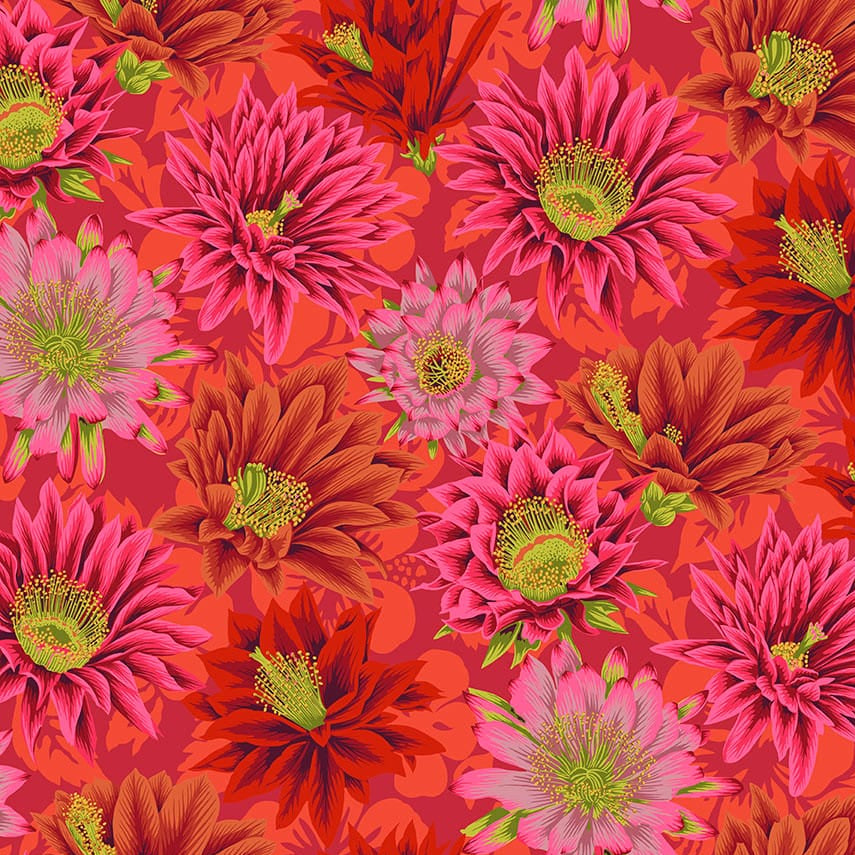 Red Floral Stof Fabric Kaffe Fassett Cactus Flower Fabric - The Sewing Studio