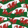 Nutex Welsh Flag Fabric