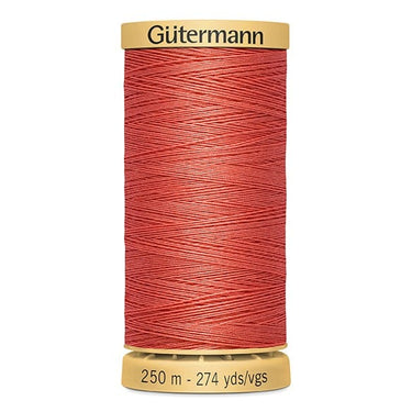 Gutermann Cotton Thread 250M Colour 2166