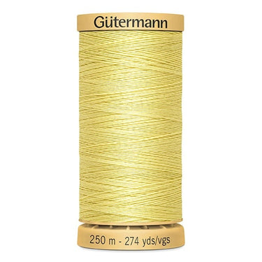 Gutermann Cotton Thread 250M Colour 349