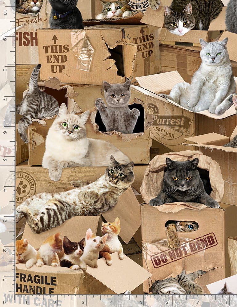 Timeless Treasures Fabric Realistic Cats in Boxes