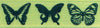Butterfly Ribbon: 15mm: Green