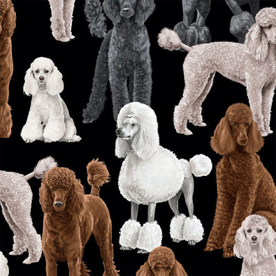 Timeless Treasures Poodles Black Fabric