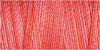 Gutermann Sulky Variegated Cotton Thread 30 300M Colour 4035