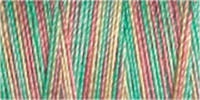 Gutermann Sulky Variegated Cotton Thread 30 300M Colour 4041