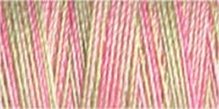 Gutermann Sulky Variegated Cotton Thread 30 300M Colour 4047
