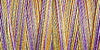 Gutermann Sulky Variegated Cotton Thread 30 300M Colour 4103