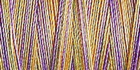 Gutermann Sulky Variegated Cotton Thread 30 300M Colour 4103