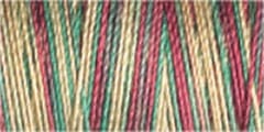 Gutermann Sulky Variegated Cotton Thread 30 300M Colour 4112