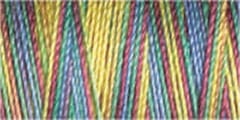 Gutermann Sulky Variegated Cotton Thread 30 300M Colour 4113