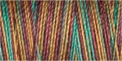 Gutermann Sulky Variegated Cotton Thread 30 300M Colour 4114