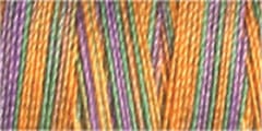 Gutermann Sulky Variegated Cotton Thread 30 300M Colour 4116
