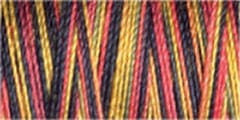 Gutermann Sulky Variegated Cotton Thread 30 300M Colour 4117