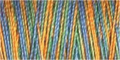 Gutermann Sulky Variegated Cotton Thread 30 300M Colour 4118