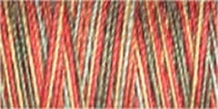 Gutermann Sulky Variegated Cotton Thread 30 300M Colour 4121