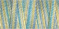 Gutermann Sulky Variegated Cotton Thread 30 300M Colour 4125