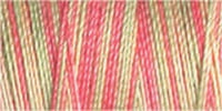 Gutermann Sulky Variegated Cotton Thread 30 300M Colour 4127
