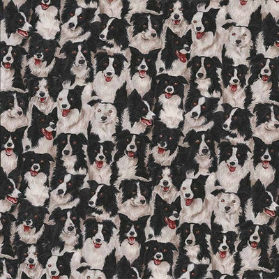 Makower Border Collie Dogs Fabric