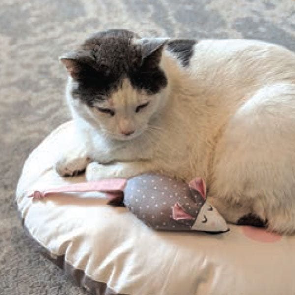 Moda Fabric Panels & Labels Moda Cut Sew Create - Kitty Bed Toy Panel  - The Sewing Studio