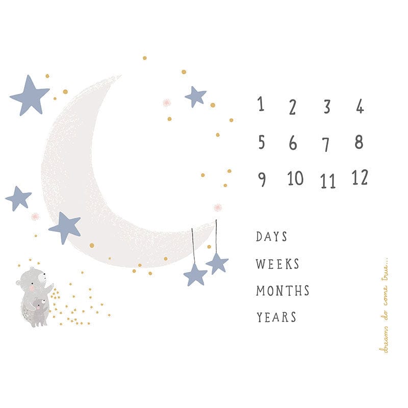 Moda D Is For Dream Canvas Panel 44X36 Inch White 25129-11CV | Fabric ...