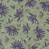 Moda Wild Iris Fabric Coneflower Lichen 6872-12