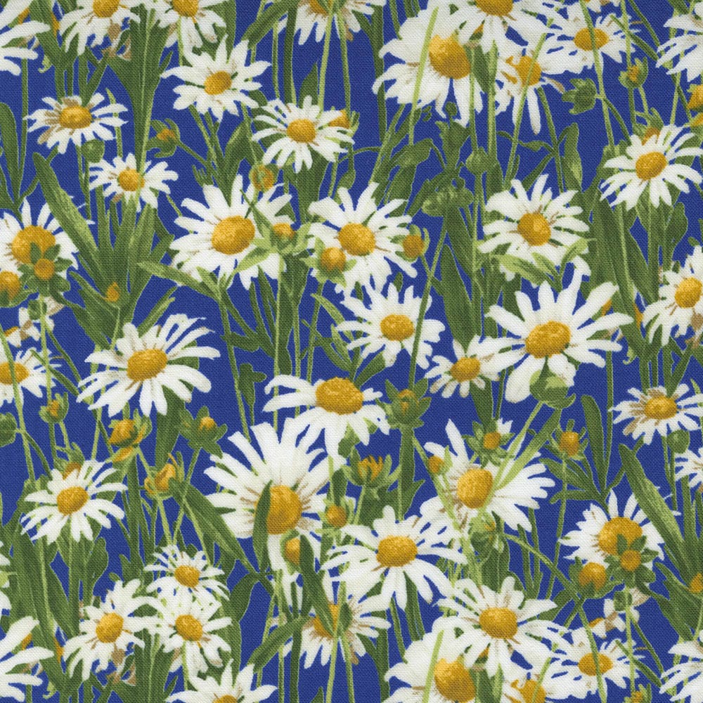 Moda Wildflowers Floral Daisy Bluebonnet Fabric 33623 12