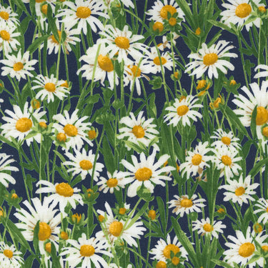 Moda Wildflowers Floral Daisy Indigo Fabric 33623 19