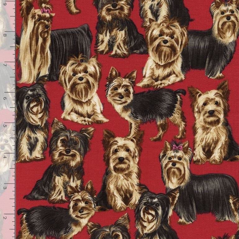 Timeless Treasures Fabric Timeless Treasures Fabric Realistic Yorkshire Terriers Yorkies  - The Sewing Studio
